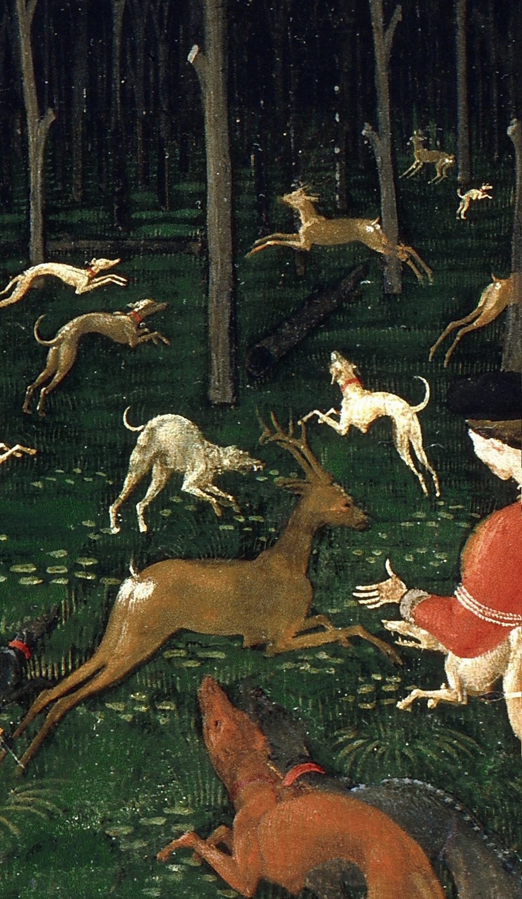 Against the Dark Forest