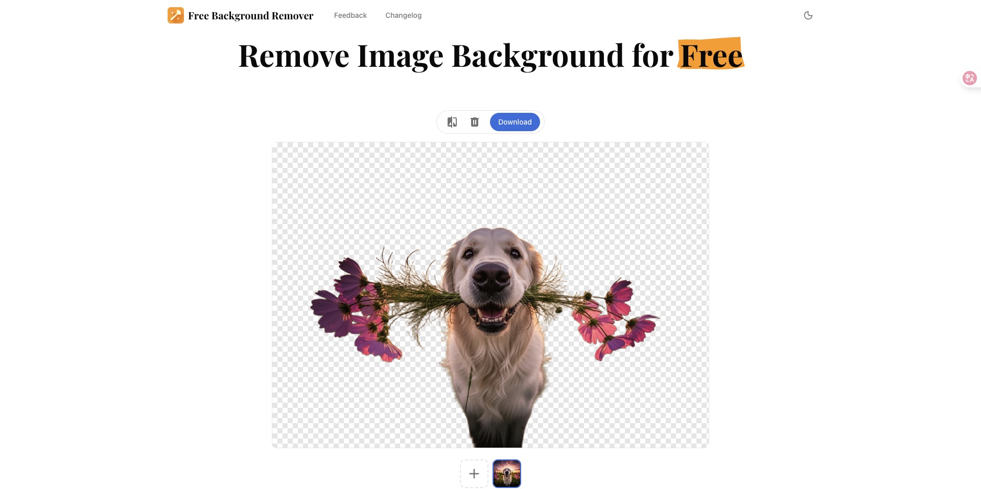 Free Background Remover