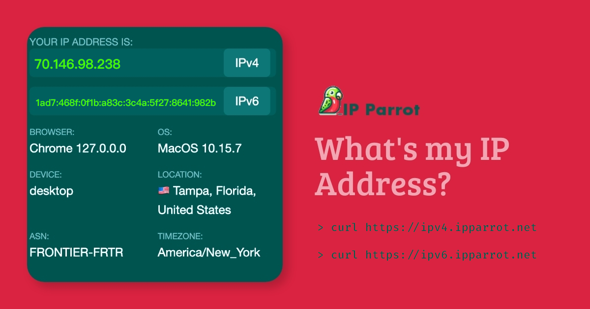 Ip parrot website hunt